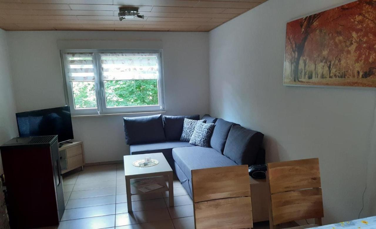 Feriendorf "Am Forsthaus" Mosbach Mosbach  Экстерьер фото